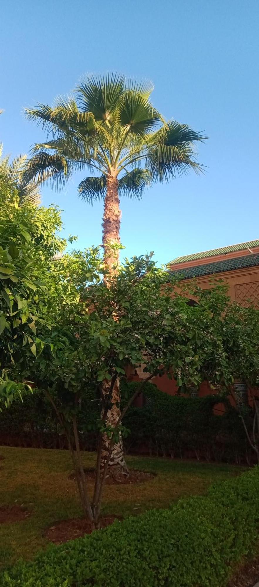 Riad Nour Resorts-Riad Nour Travel Marakeş Dış mekan fotoğraf