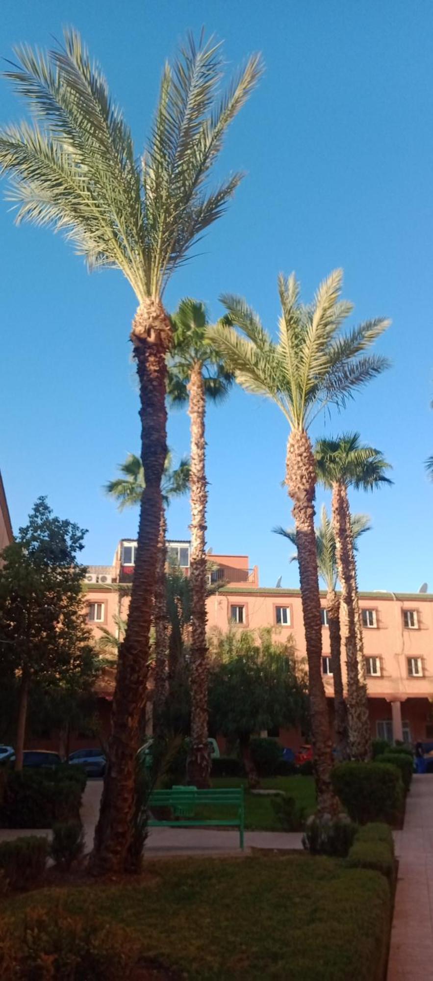 Riad Nour Resorts-Riad Nour Travel Marakeş Dış mekan fotoğraf